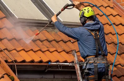 Démoussage et hydrofuge de toiture à Vernaux